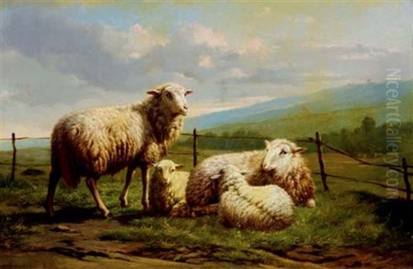 Sheep Resting In A Pasture Oil Painting by Theo van Sluys