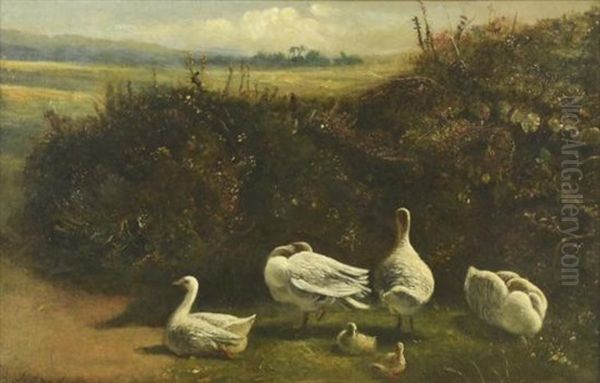 Geese In A Landscape Oil Painting by James Smetham