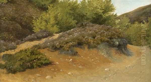 Landschaftstudie Der Septemberheide Bei Himmelbjerget Oil Painting by Hans Ludvig Smidth