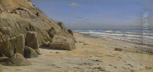 Felsige Strandkuste Mit Mowen Im Sommer Oil Painting by Hans Ludvig Smidth