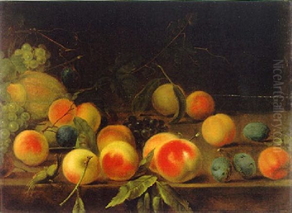 Stilleben Mit Fruchten Oil Painting by Dominicus Van der Smissen