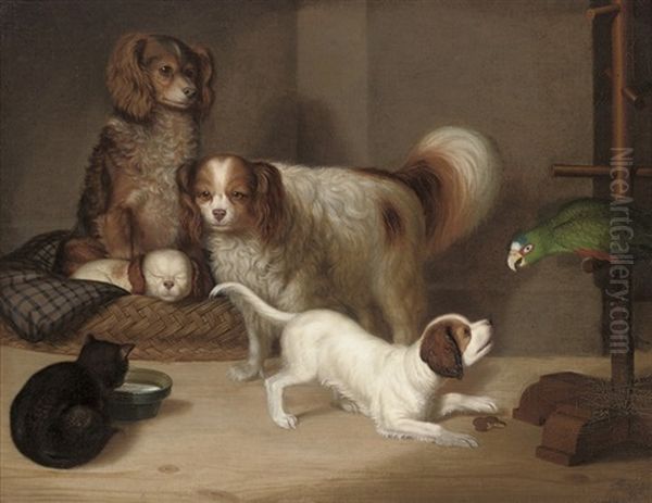 Spaniels, A Cat And A Parrot In An Interior Oil Painting by George Smith of Chichester