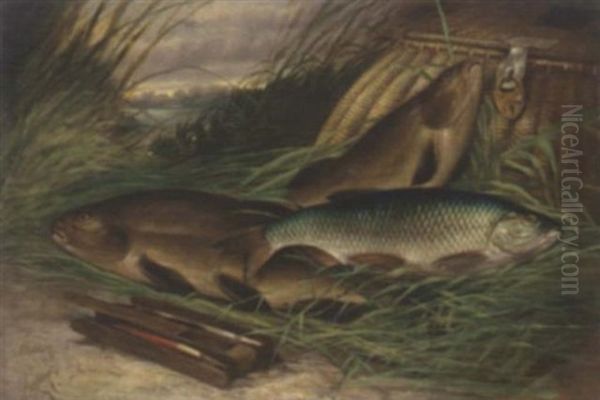 The Day's Catch Oil Painting by A. Harold Smith