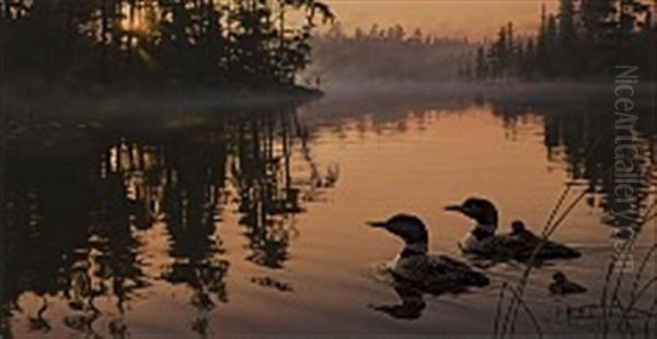 Echo Bay, Loon Family Oil Painting by Daniel Smith