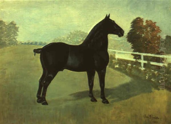 Black Horse In Landscape Oil Painting by Daniel Smith