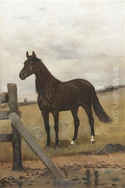 The Horse Oil Painting by Gean Smith