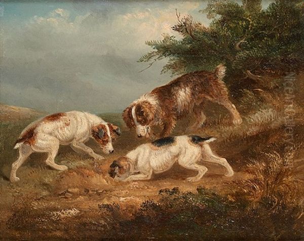 Chiens Terriers Oil Painting by George A. Smith