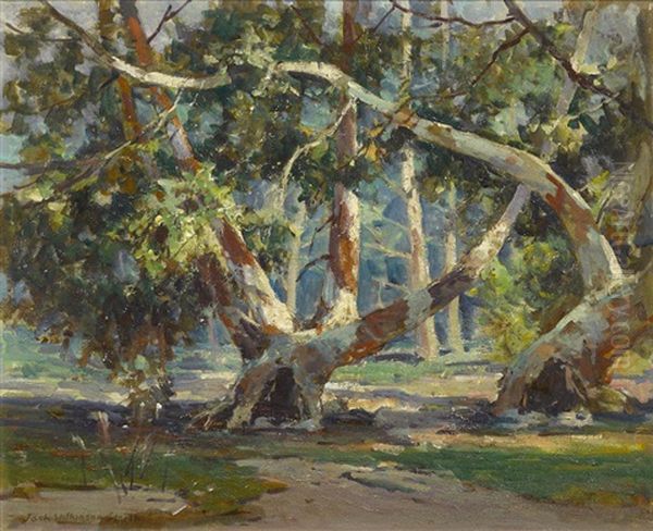 Scattered Sunlight In The Trees Oil Painting by Jack Wilkinson Smith