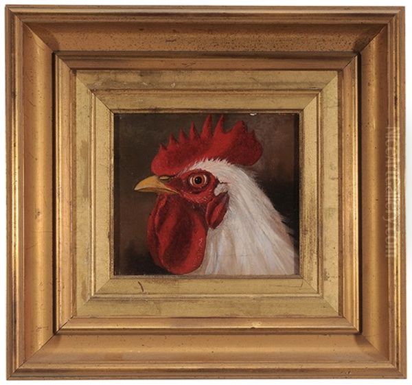 Head Of A Rooster Oil Painting by Mary Russell Smith