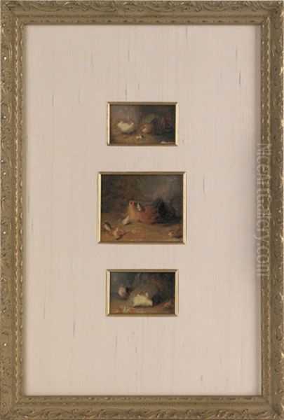 Sketches Of Chickens And Chicks (3 Works In 1 Frame) Oil Painting by Mary Russell Smith