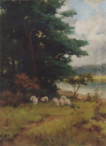 Sheep Grazing In A Wooded River Landscape Oil Painting by Reginald Smith