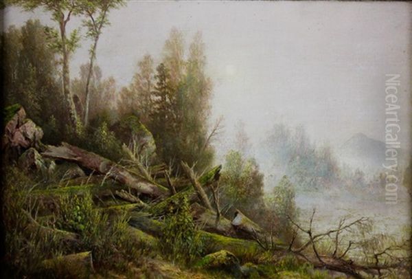 Forest Landscape Oil Painting by Thomas Lochlan Smith