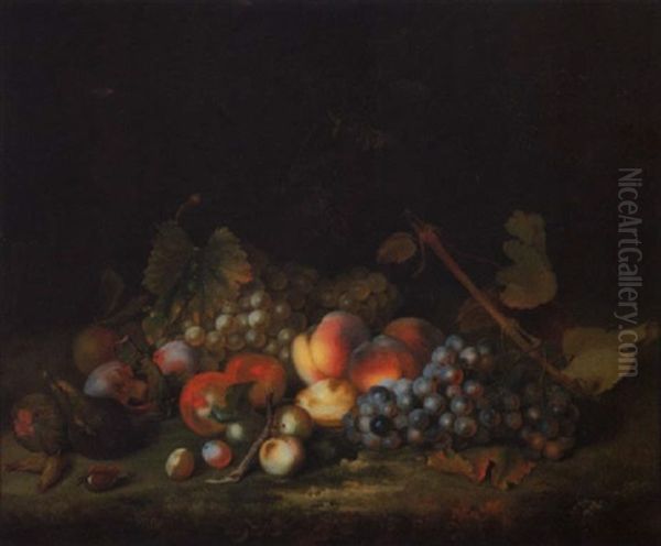 Stilleben Mit Weintrauben, Pfirsichen, Pflaumen Und Feigen Oil Painting by William Smith