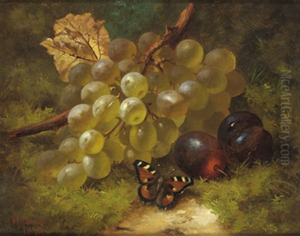 Stilleben Mit Weintrauben, Pflaumen Und Einem Schmetterling Am Waldboden Oil Painting by William Harding Smith