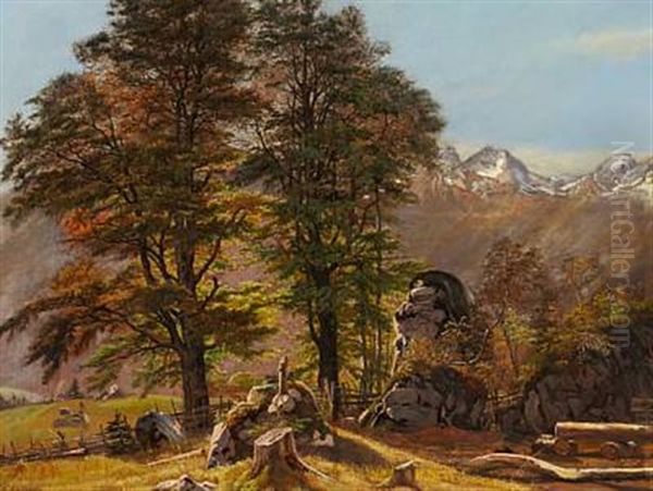 Parti Fra Schwartzwald Or Landskab Fra Tyrol Oil Painting by Frederik Hansen Sodring