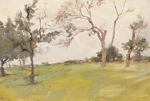 Trees In A Landscape Oil Painting by Robert Bolling Brandegee