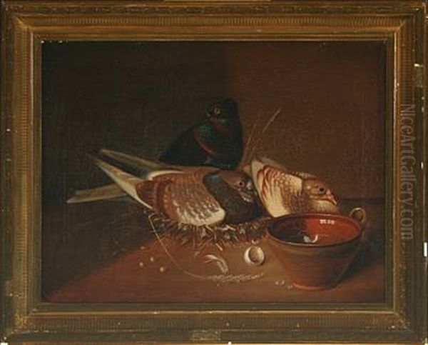 Still Life With Nesting Pigeons by Nicolai Peters Herm. Sohn