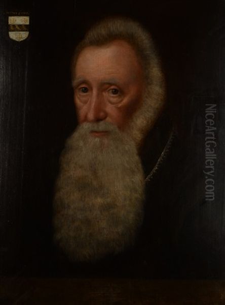 Portrait Of A Bearded Gentleman Oil Painting by Paul van Somer