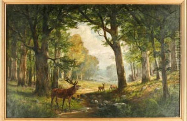 Rotwild Am Waldbach Oil Painting by Georg Sommer