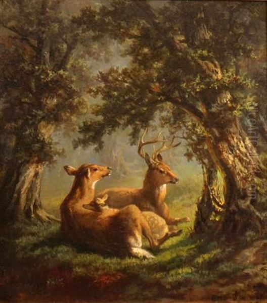 Deer Family In A Forest Clearing Oil Painting by Otto Sommer