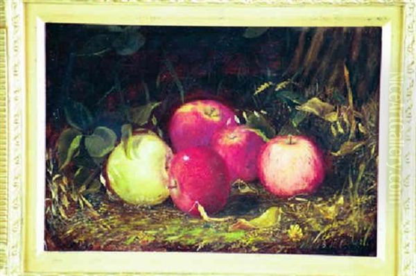 Still Life With Apples Oil Painting by Otto Sommer