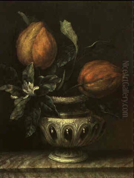 Stilleben Oil Painting by Jan Frans van Son