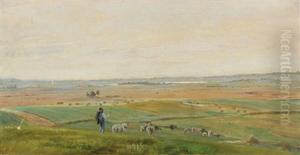 Open Landscape With A Boy Guarding His Sheep Oil Painting by Jorgen Valentin Sonne