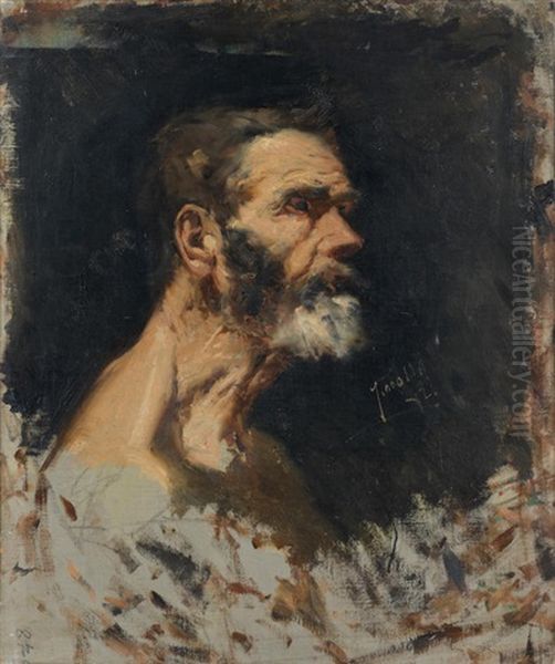 Cabeza De Anciano Oil Painting by Joaquin Sorolla