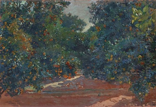 Naranjos De Alcira (orange Trees In Alcira) Oil Painting by Joaquin Sorolla