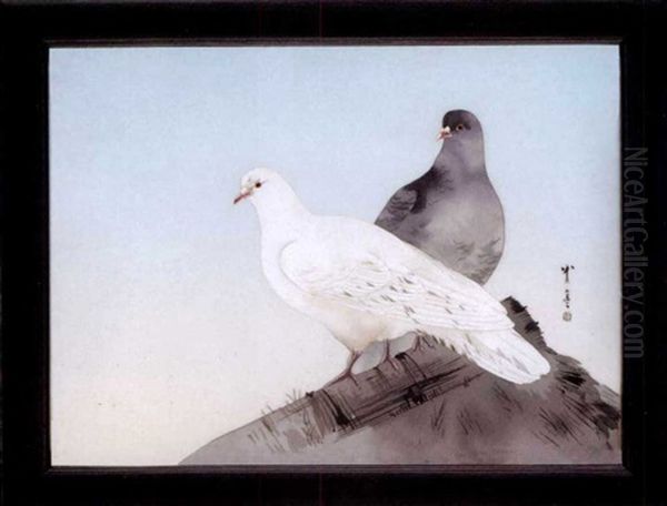 A Gray And A White Dove Perched On A Thatched Roof (after Watanabe Seitei) Oil Painting by Namikawa Sosuke