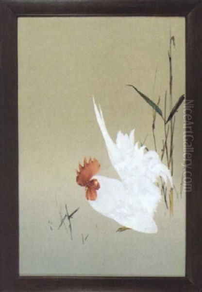 Hahn In Weisem Federkleid Mit Hochgestellten Schwanzfedern Oil Painting by Namikawa Sosuke