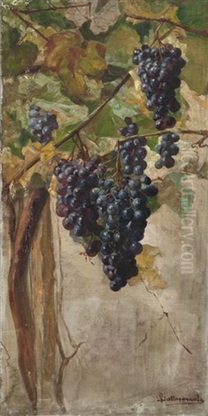 Uvas Oil Painting by Giovanni Sottocornola