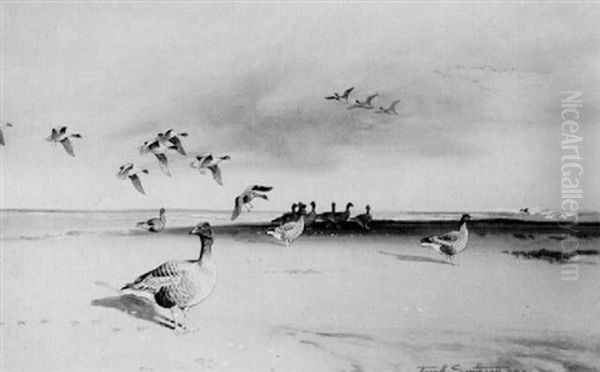 Pink-footed Geese On The Shore Oil Painting by Frank Southgate