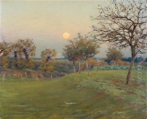 Paisaje Oil Painting by Jose Julio Souza Pinto