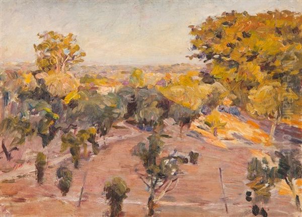 Landscape With Trees Oil Painting by Jose Julio Souza Pinto