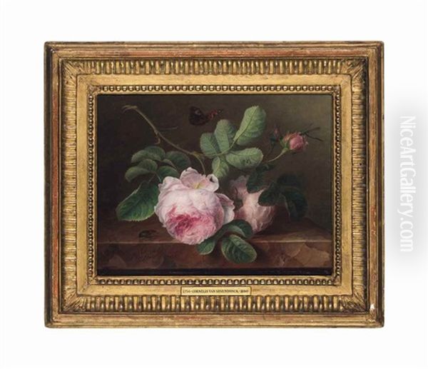 Roses On A Marble Ledge With A Beetle, A Butterfly And A Dragonfly Oil Painting by Cornelis van Spaendonck