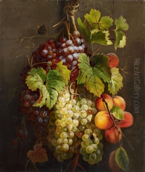 A Fruit Still Life Oil Painting by Cornelis van Spaendonck