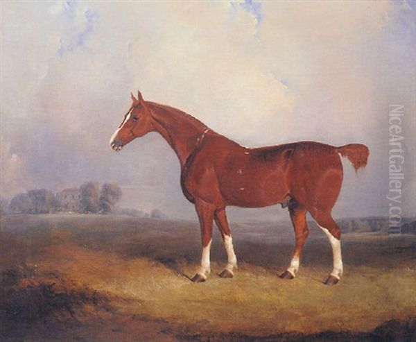 The Favourite Hunter Oil Painting by Charles Bilger Spalding