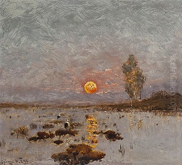 Birds In A Marsh Sunset Oil Painting by Bela Von Spanyi