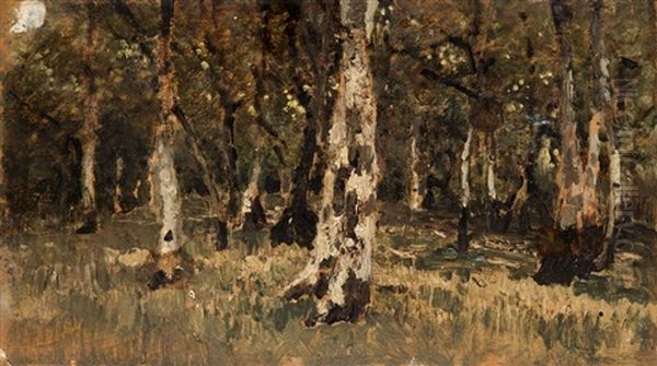 Forest Oil Painting by Bela Von Spanyi