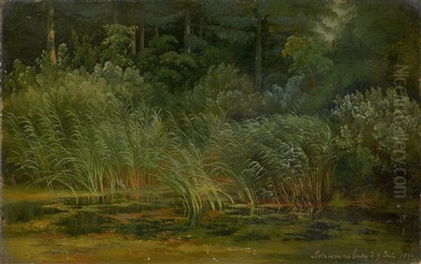 Schilfufer Oil Painting by Karl Christian Sparmann