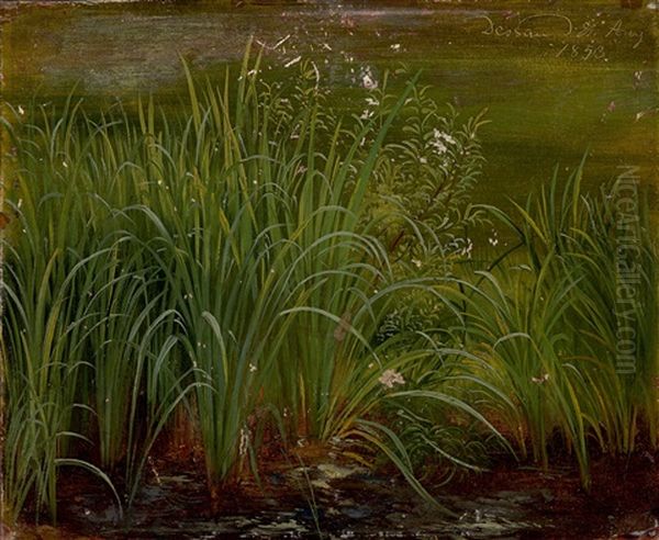 The Banks Of A Lake, With Reeds Oil Painting by Karl Christian Sparmann