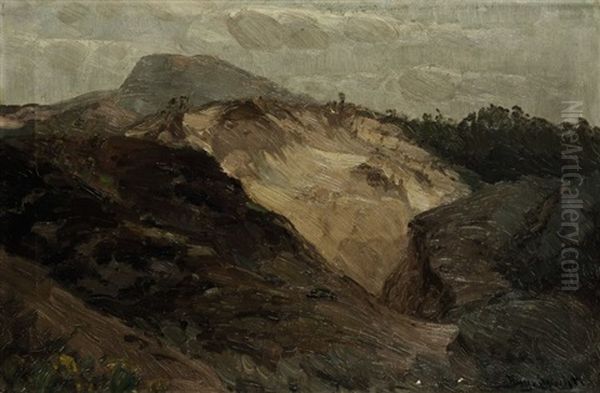 Dunenhugel Oil Painting by August Specht