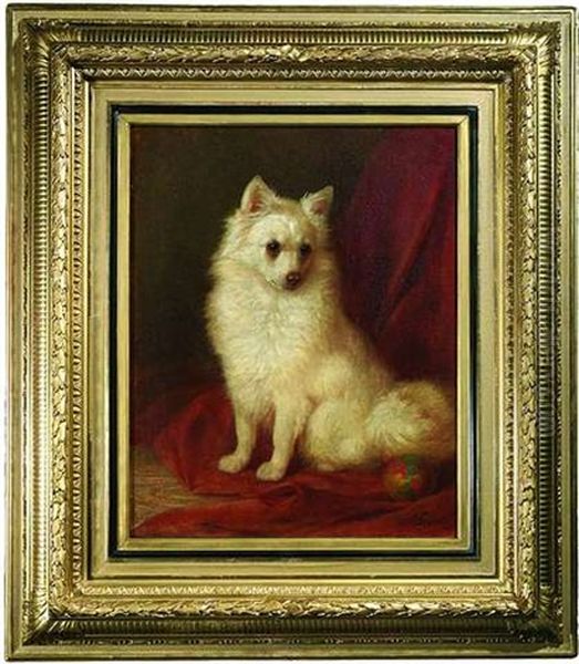 Spitz Mit Ball Vor Rotem Vorhang Oil Painting by Friedrich Specht