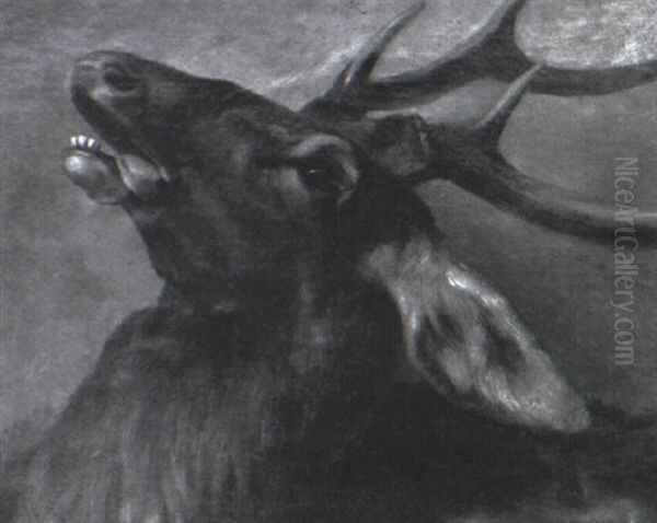 Der Verendende Hirsch Oil Painting by Otto Speckter