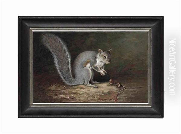 A Squirrel Harvesting Nuts Oil Painting by John Clinton Spencer