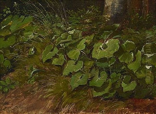 Waldboden Mit Huflattich Oil Painting by Johann Sperl