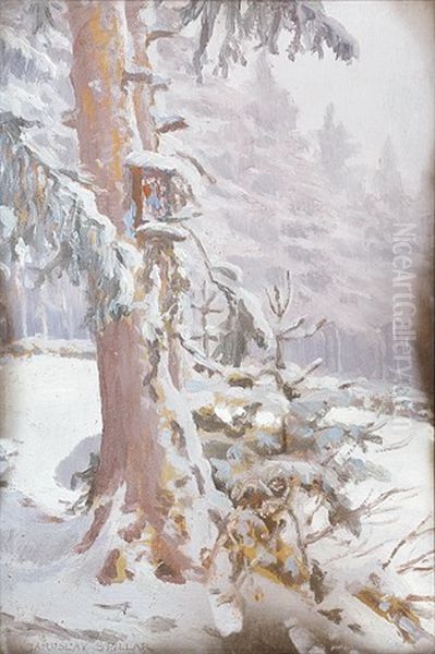 Kraj Lesa V Zime Oil Painting by Jaroslav Spillar