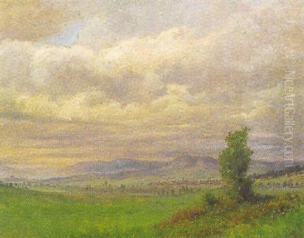 Ansicht Von Furstenberg Bei Donaueschingen Oil Painting by Karl Spitz