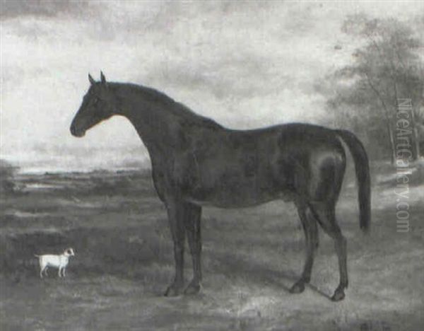 Dark Bay Hunter With A Terrier In A Landscape Oil Painting by John Spode